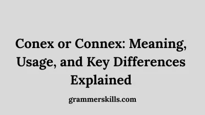 Conex or Connex: Meaning, Usage, and Key Differences Explained